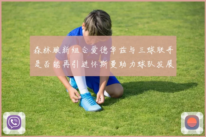森林狼新组合爱德华兹与三球联手是否能再引进怀斯曼助力球队发展